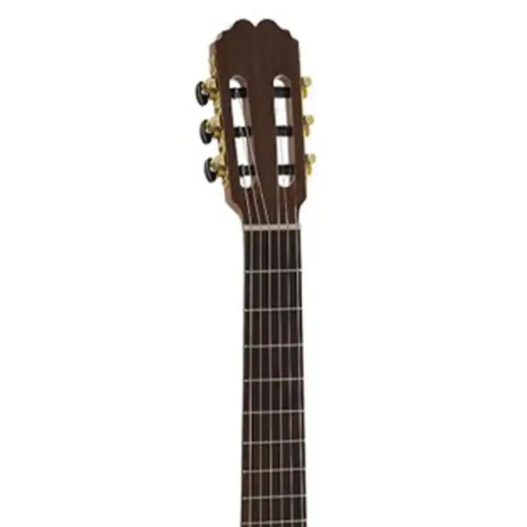 Admira ELSA Student Series Oregon Pine Top Classical Acoustic Guitar - Image 4