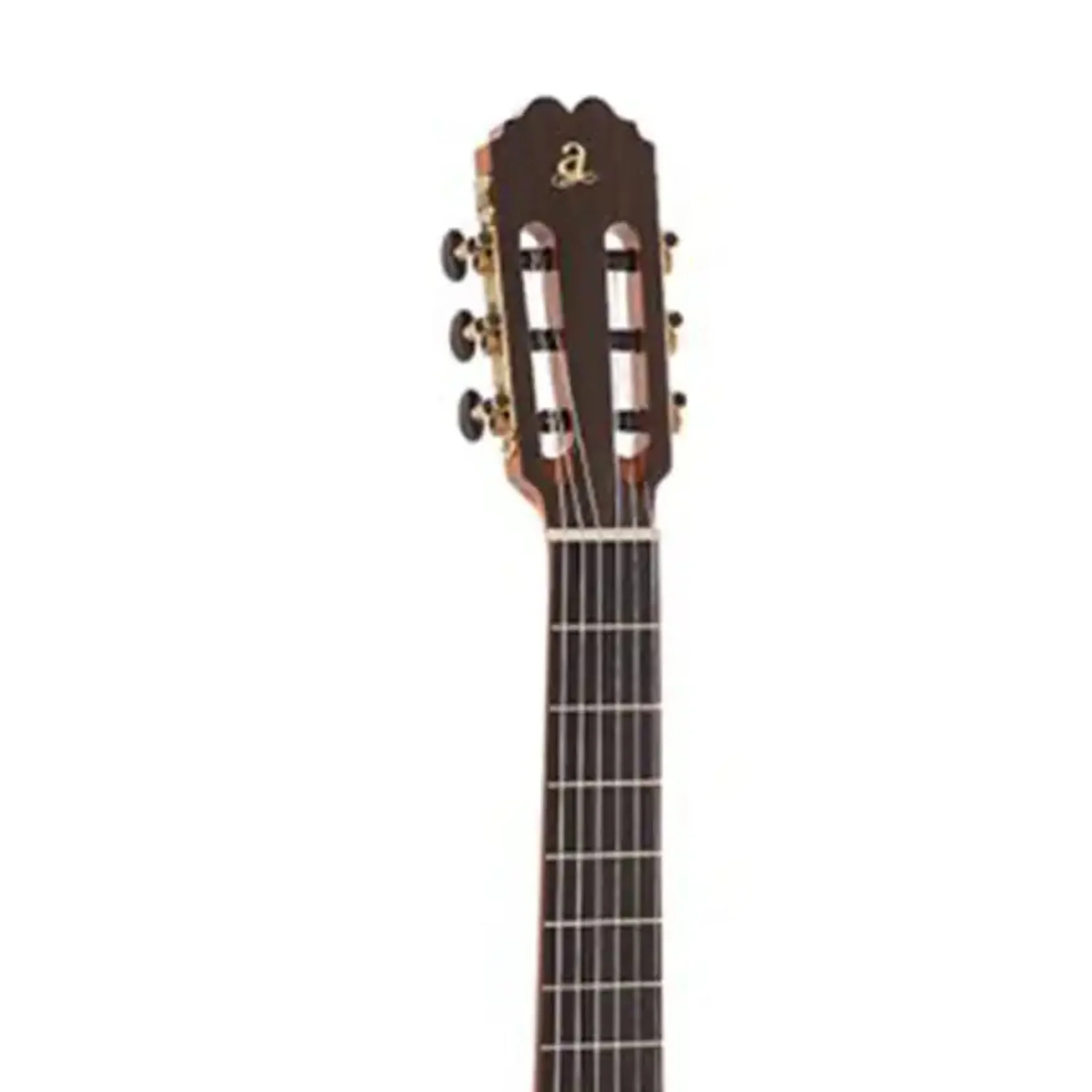 Admira TRIANA Student Series Spruce Top Classical Acoustic Guitar - Image 4