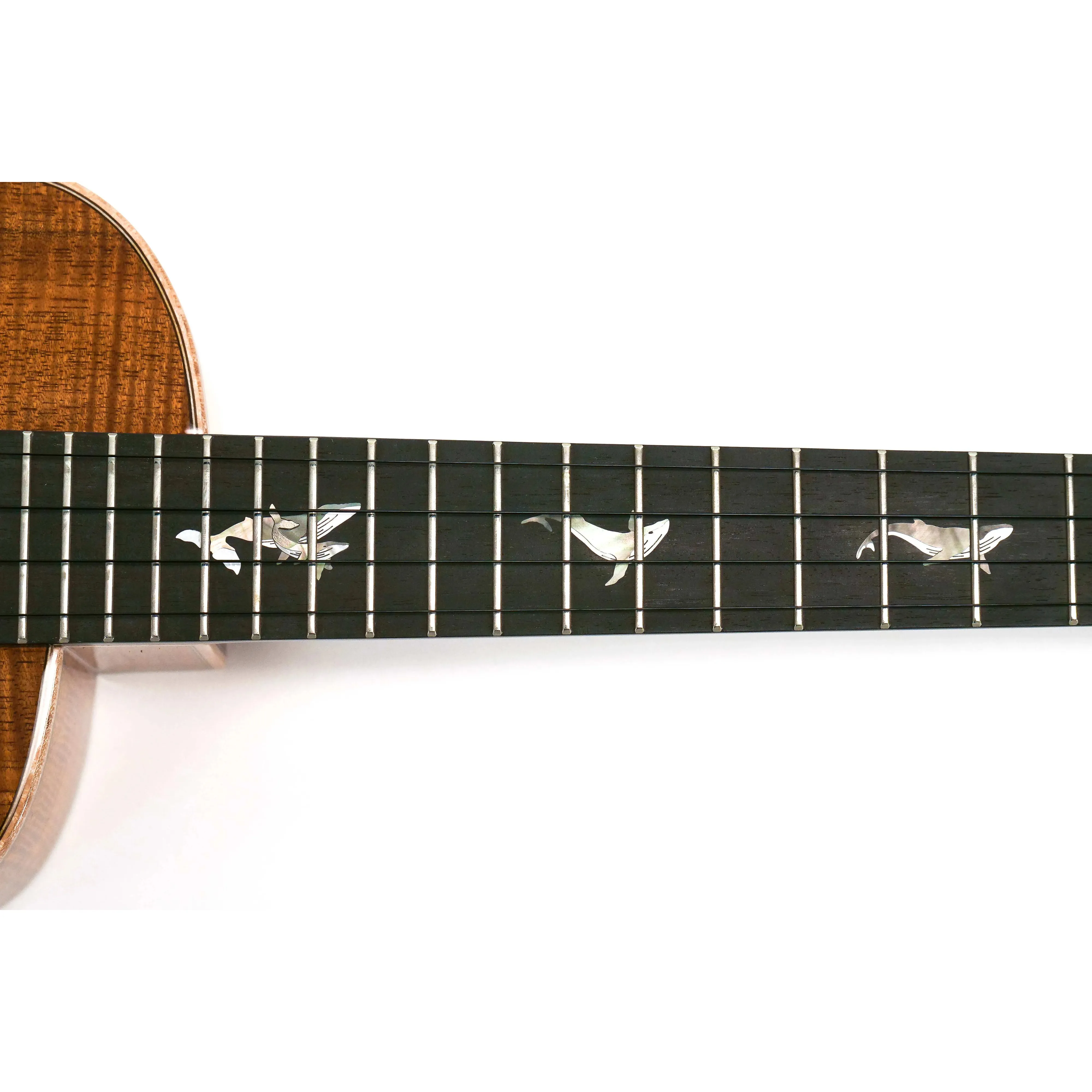 ANueNue Kyas Whale Mastergrade Hawaiian Koa Tenor Ukulele - Special Edition - Image 8