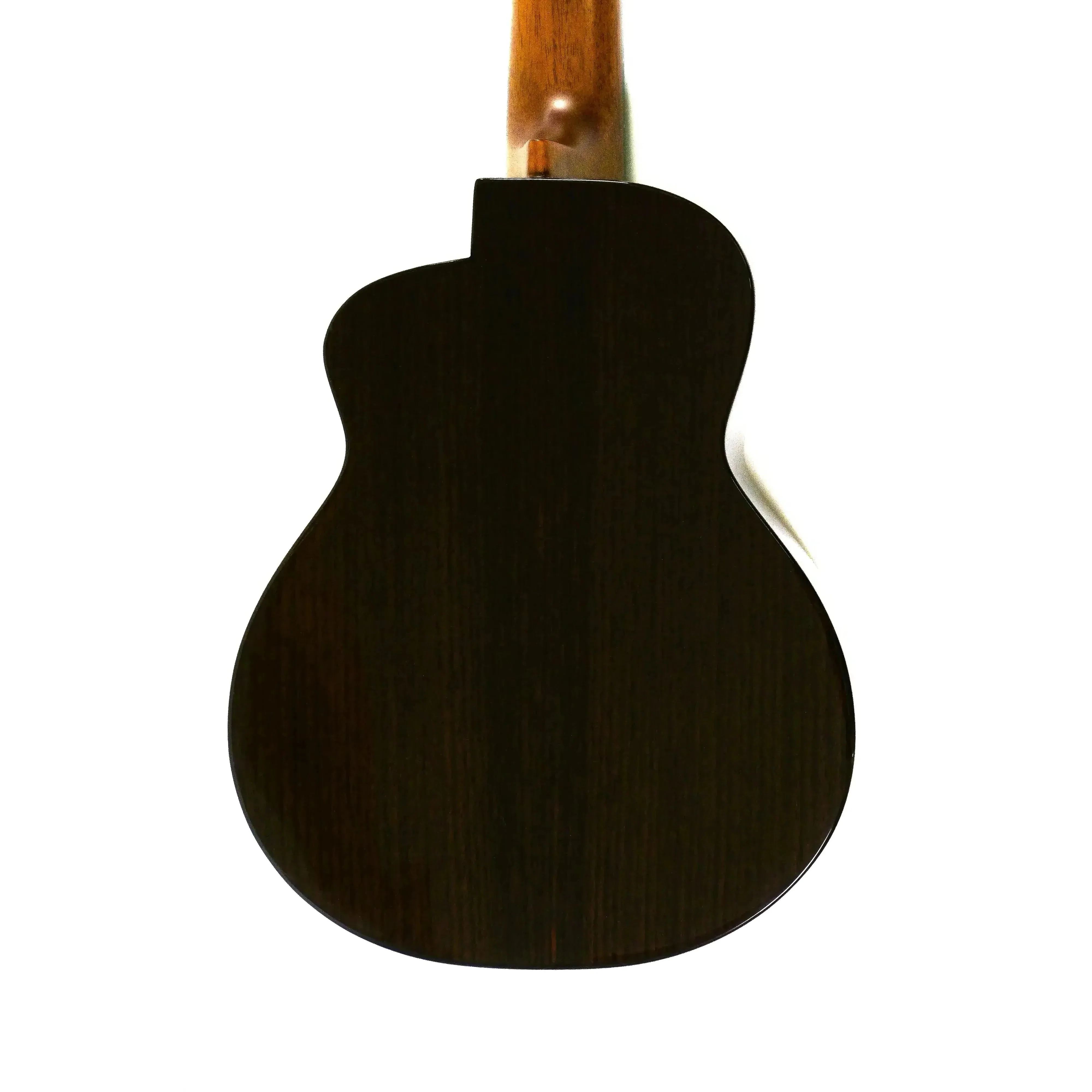 ANueNue UC200 Moon Bird Spruce & Rosewood Concert Ukulele - Image 2