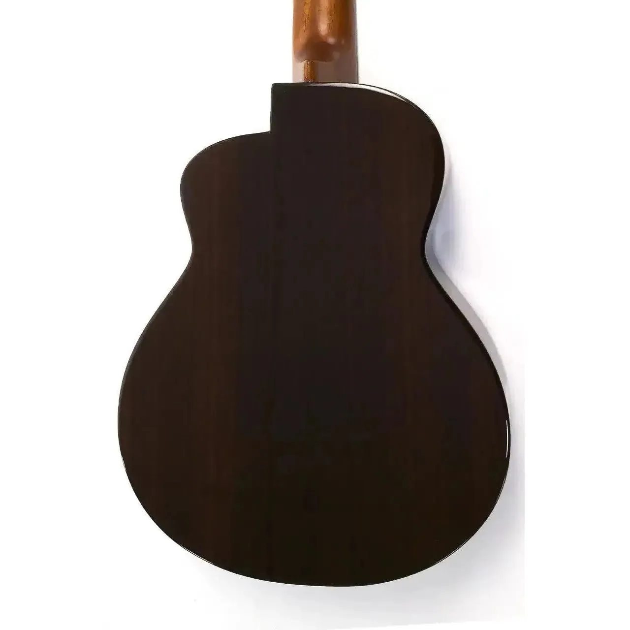 ANueNue UT214 Cedar Bird Cedar & Rosewood Tenor Ukulele - Image 2