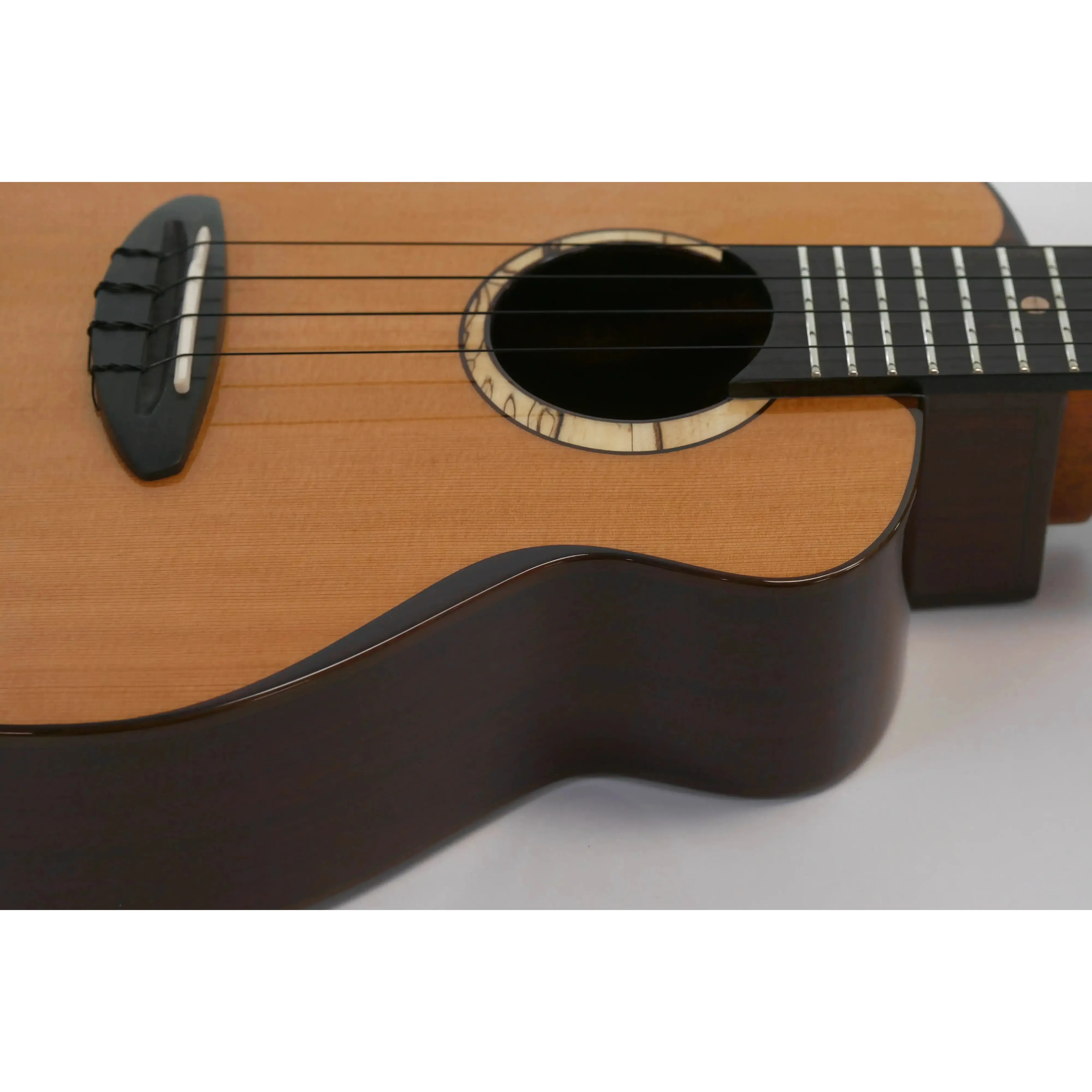 ANueNue UT214 Cedar Bird Cedar & Rosewood Tenor Ukulele - Image 3