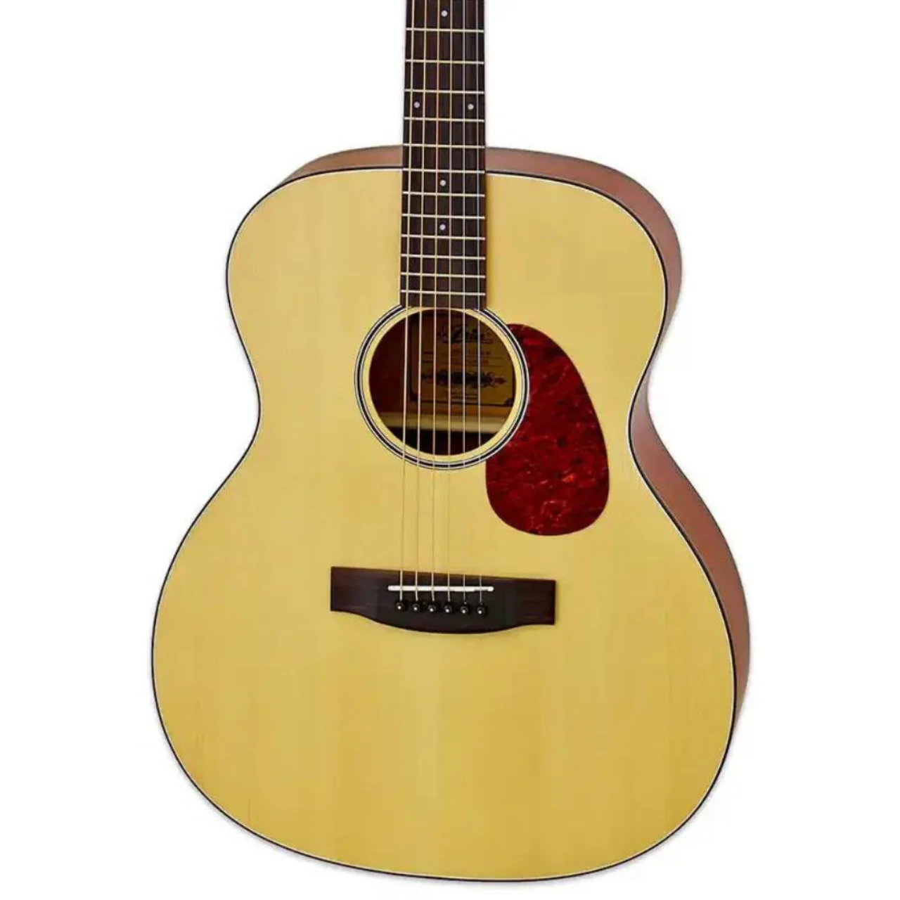 Aria 101-MTN-OM Natural Spruce Top Orchestra Guitar