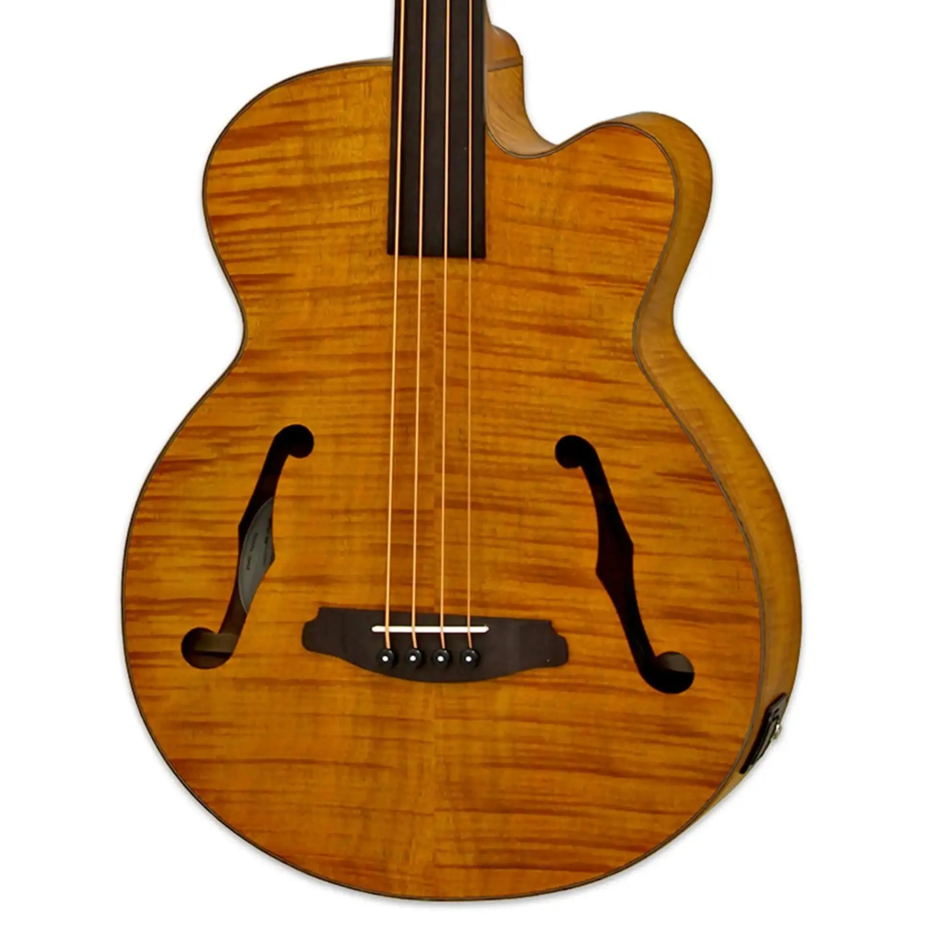 Aria FEB-F2/FL Acoustic Electric Fretless Bass Guitar - Stained Brown