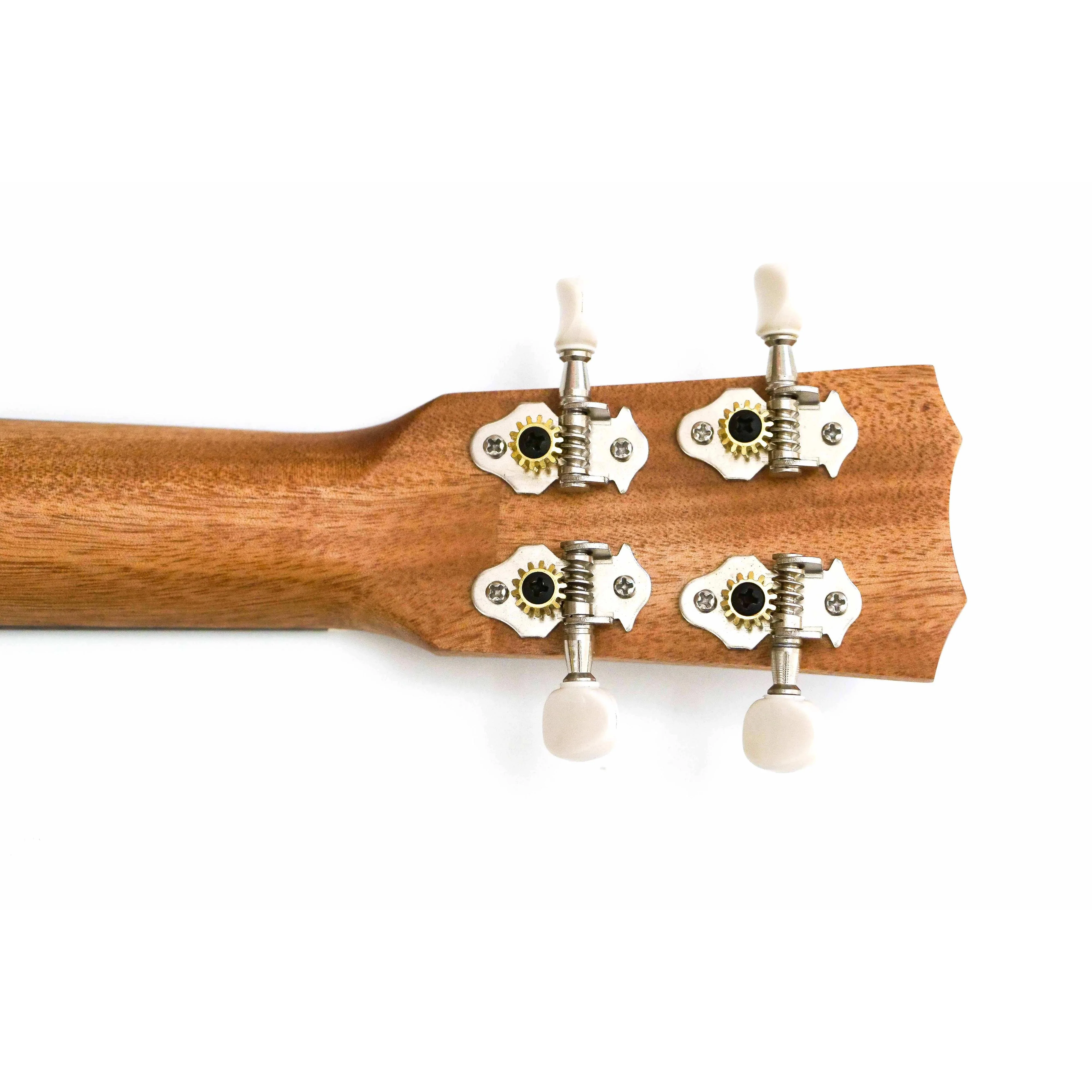 Córdoba Protégé U1T Mahogany Tenor Ukulele - Image 6