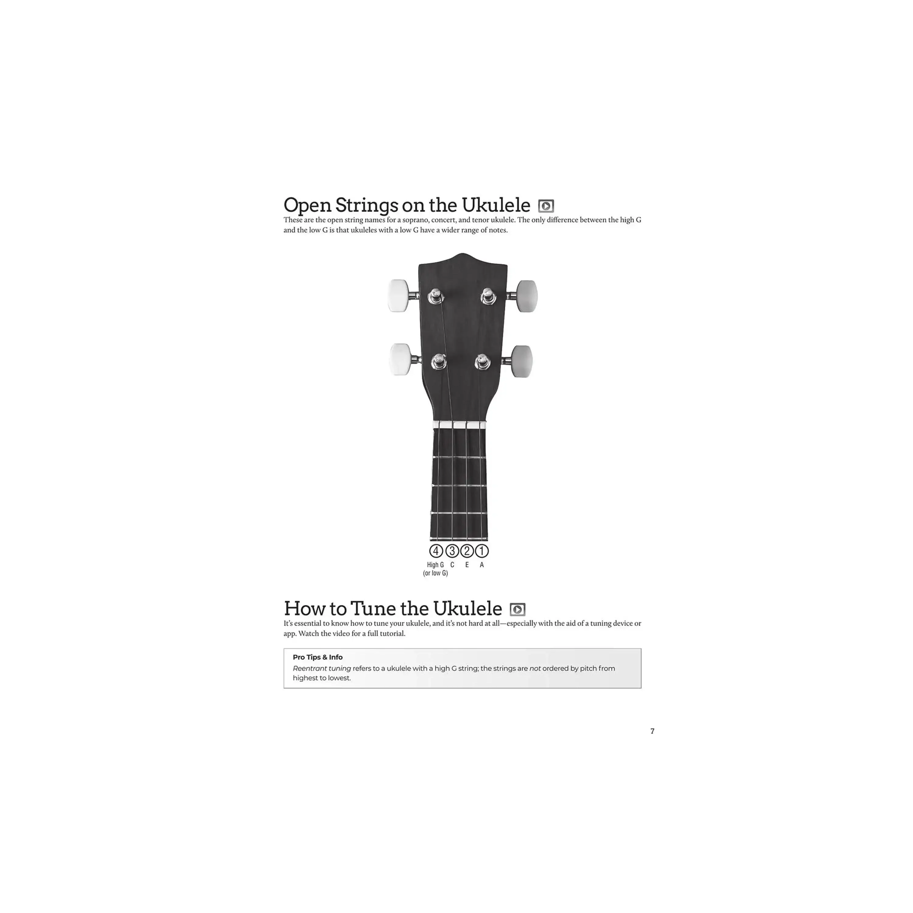 DO-IT-YOURSELF UKULELE The Best Step-by-Step Guide to Start Playing  for Soprano, Concert, or Tenor Ukulele - Image 4