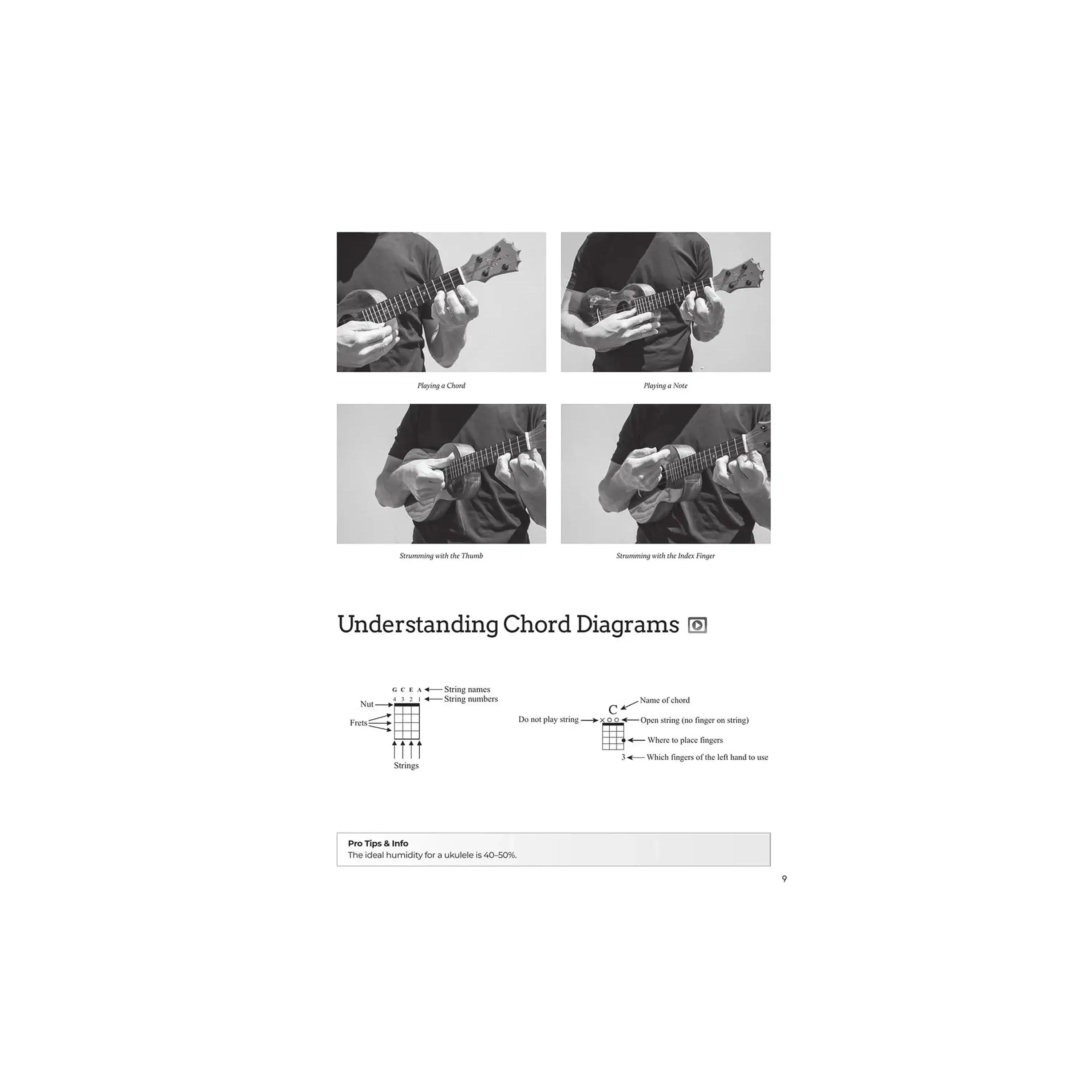 DO-IT-YOURSELF UKULELE The Best Step-by-Step Guide to Start Playing  for Soprano, Concert, or Tenor Ukulele - Image 6