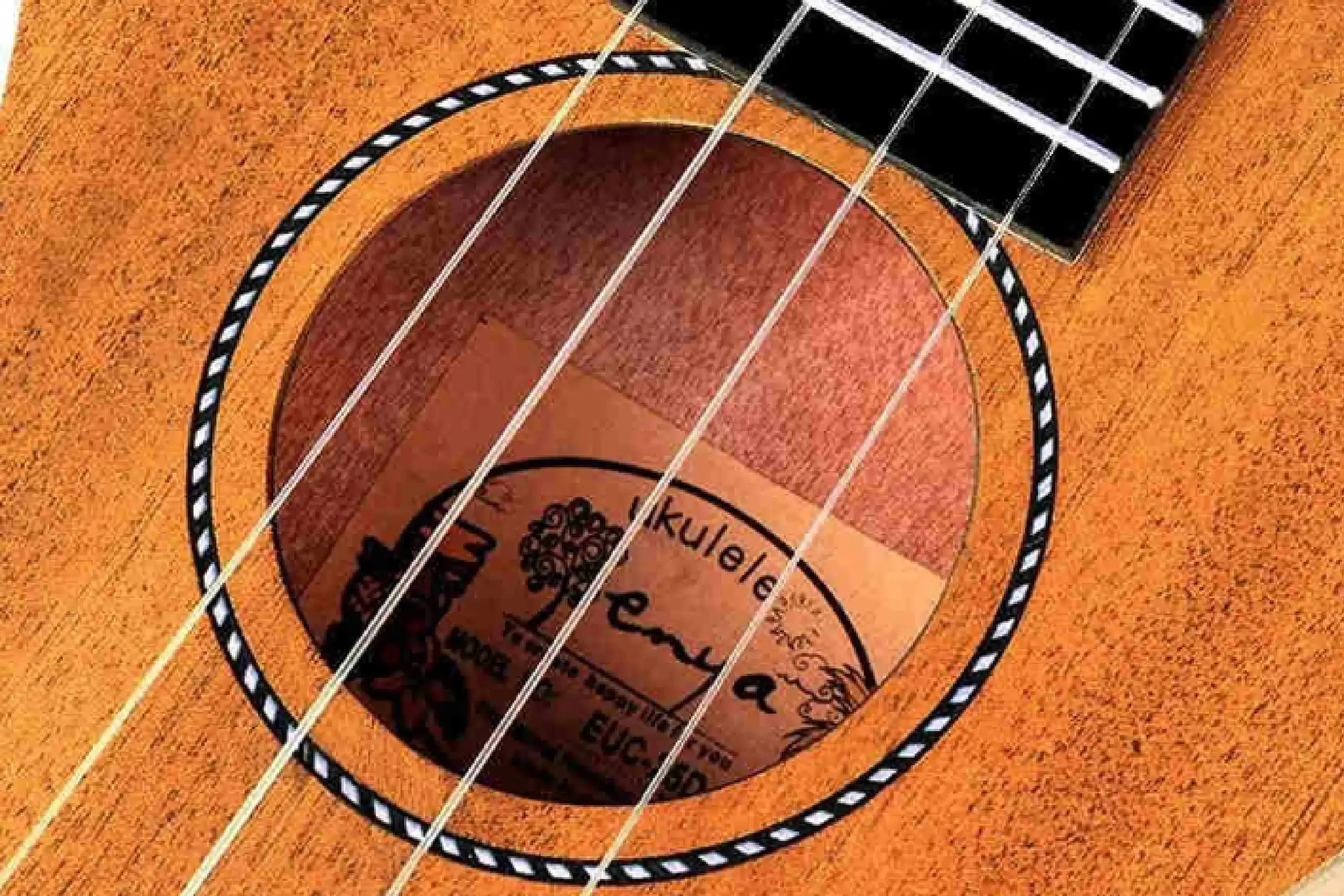 Enya EUC-25D Mahogany Concert Ukulele - Image 4