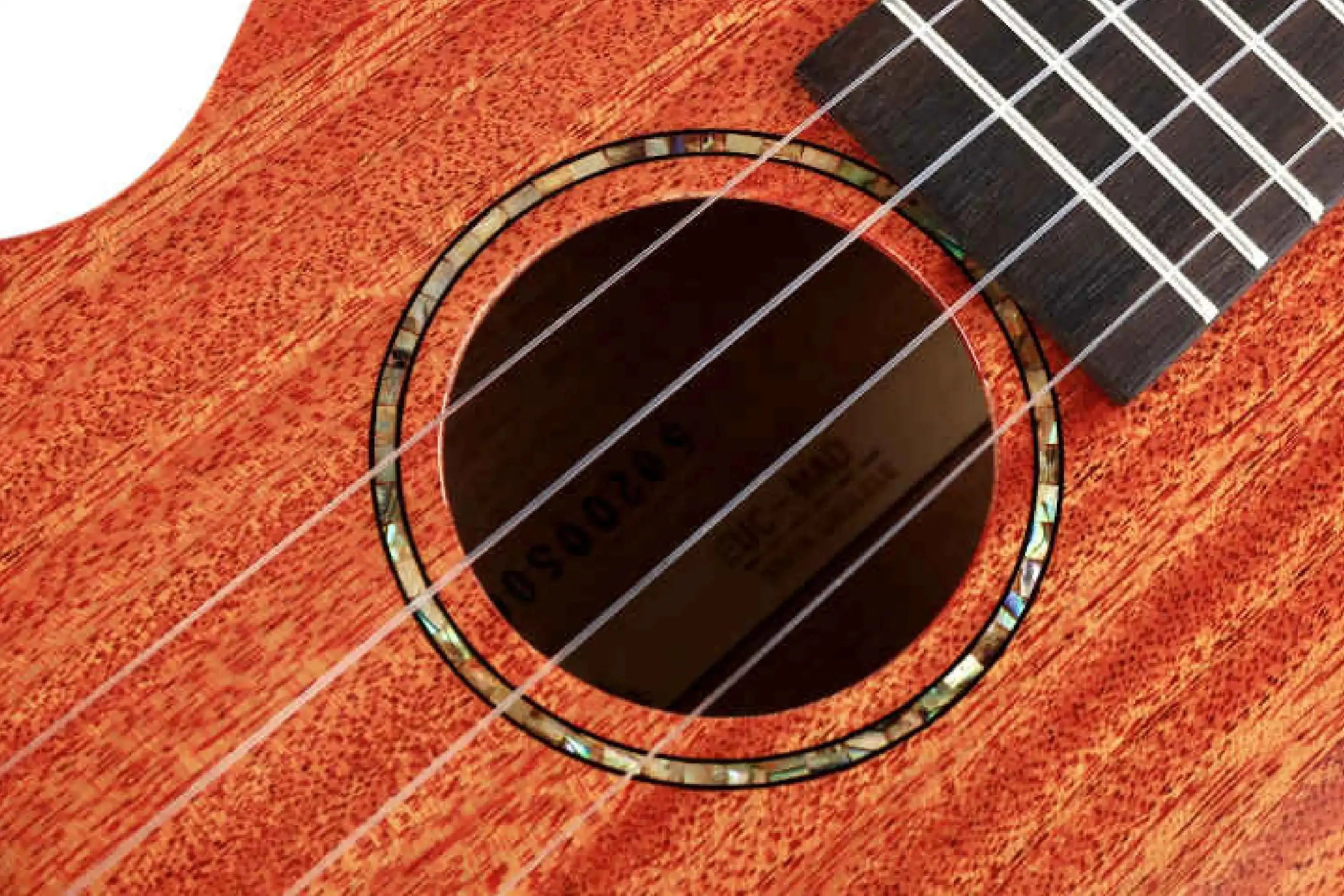 Enya EUC-MAD Solid Mahogany Concert Ukulele - Image 3