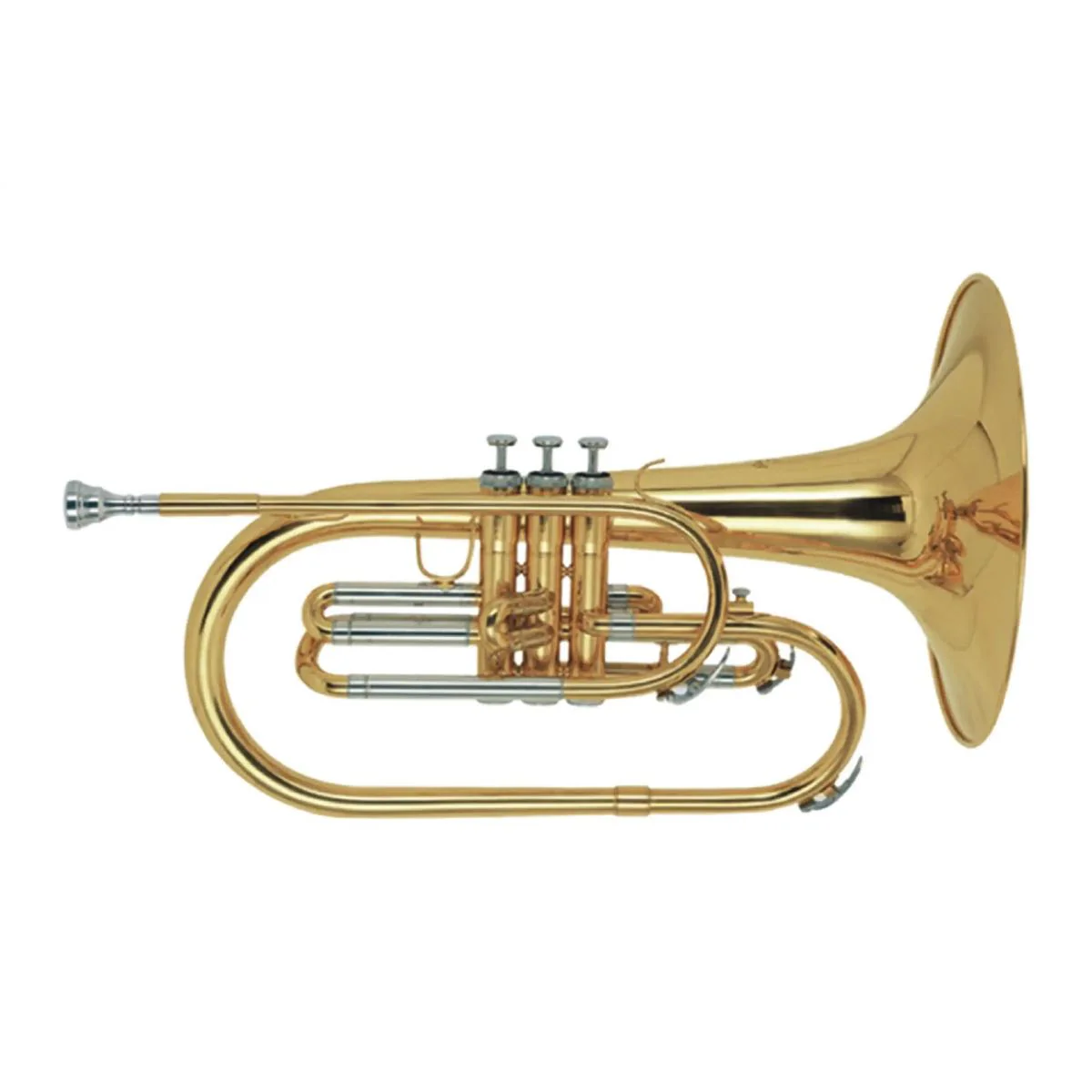 Stagg F Marching Mellophone, In Case