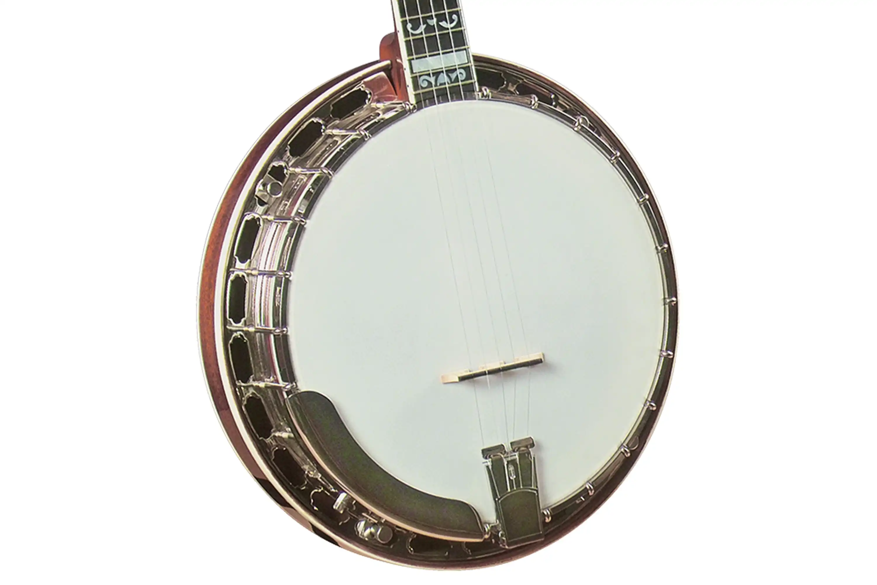 Gold Star GF-100FE Professional 5-String Resonator Banjo – Flying Eagle Inlay