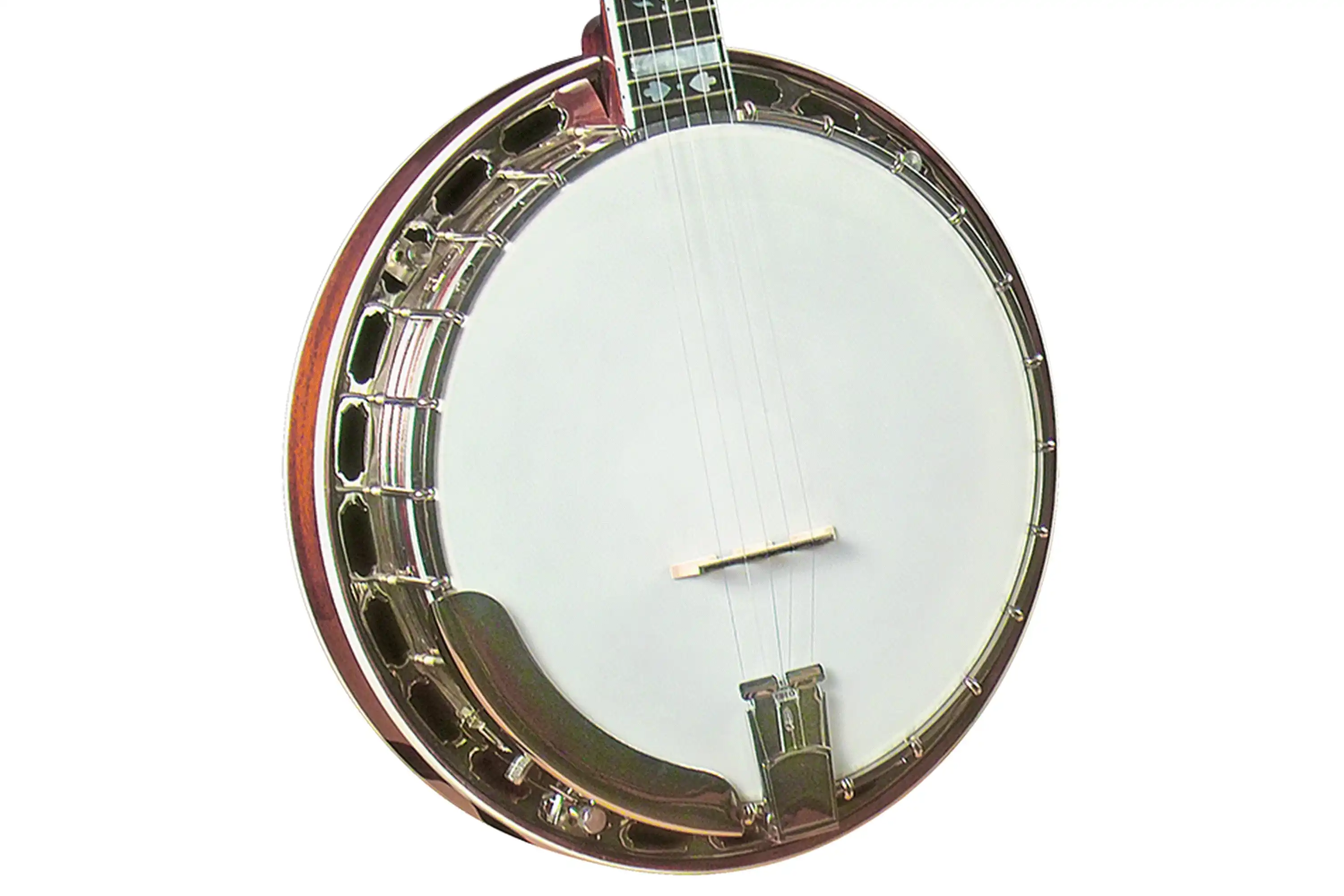 Gold Star GF-100HF Professional 5-String Resonator Banjo – Hearts & Flowers Inlay