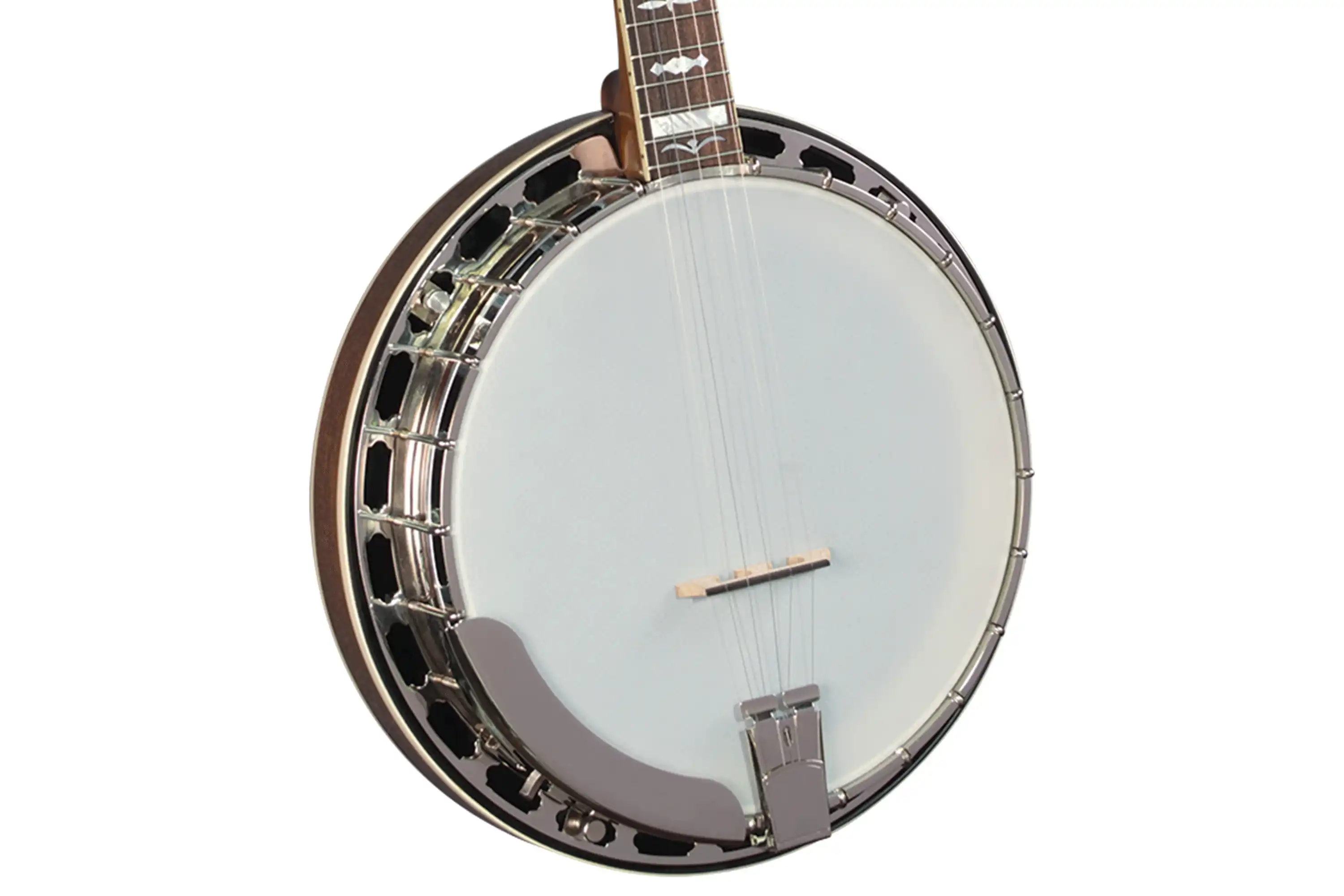 Gold Star GF-100JD J.D. Crowe Signature Bluegrass Album Banjo