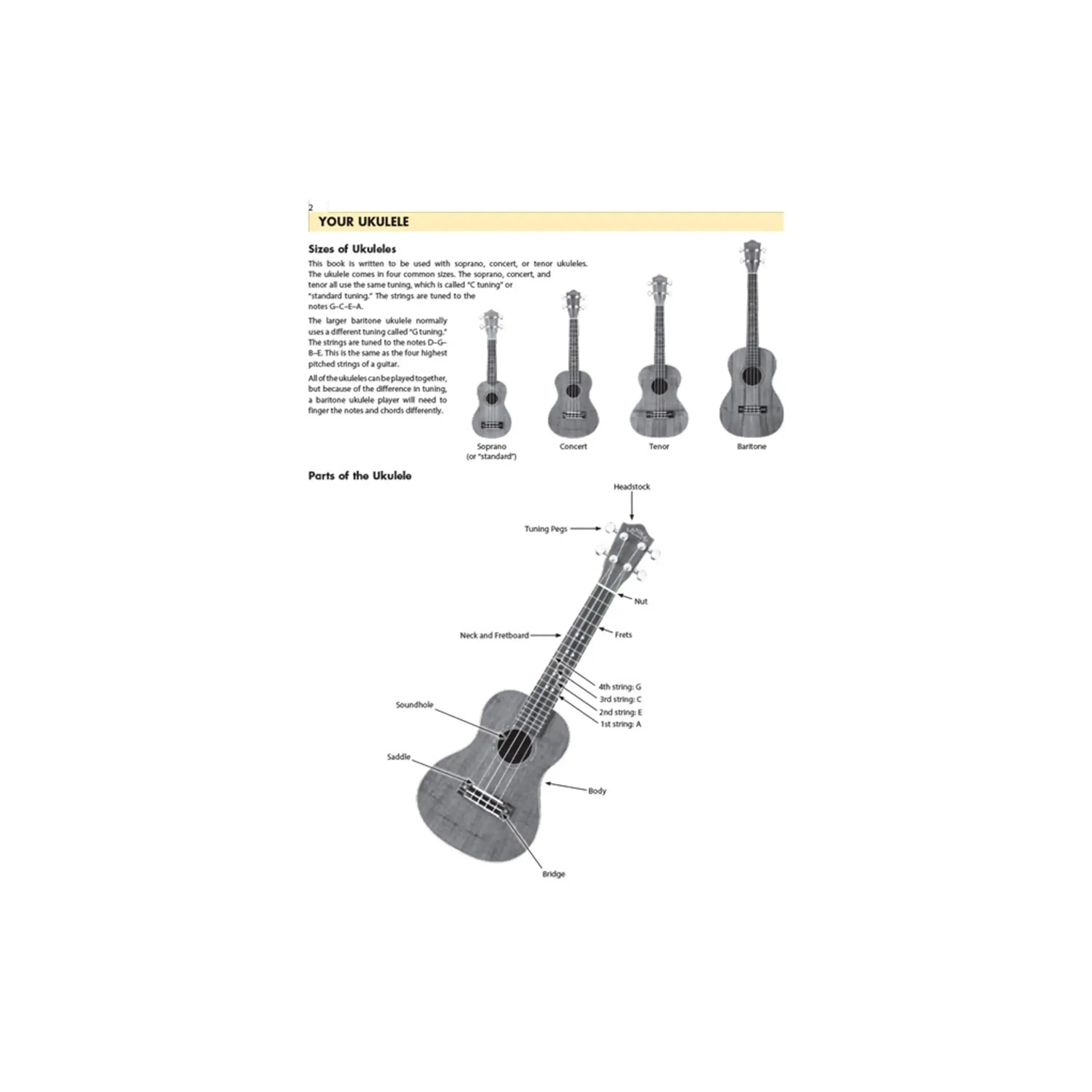 Hal Leonard Essential Elements For Ukulele - Method Book 1 (Book Only) - Image 4