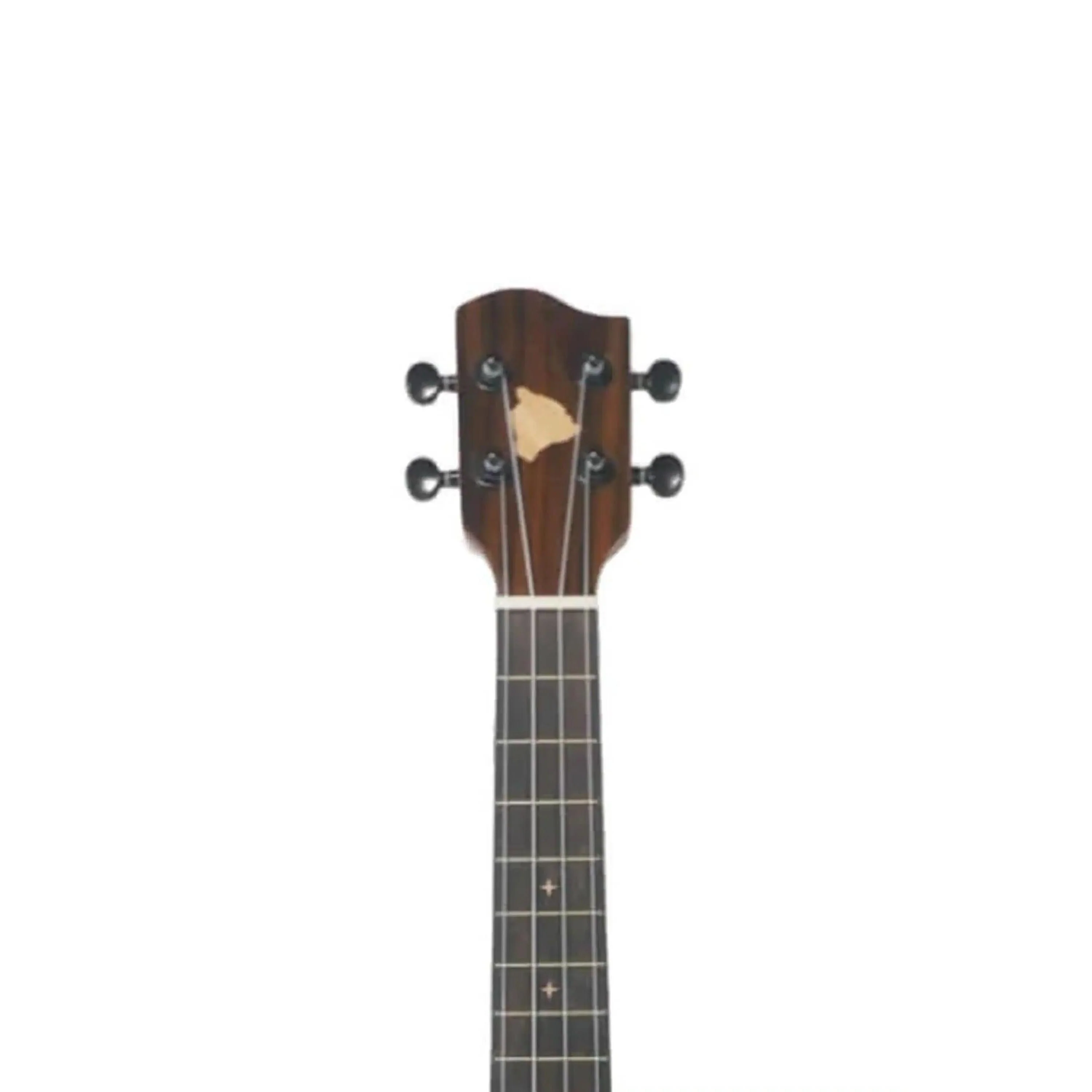 HUG SCR-PTG Cedar Top Pineapple Concert Ukulele - Image 3