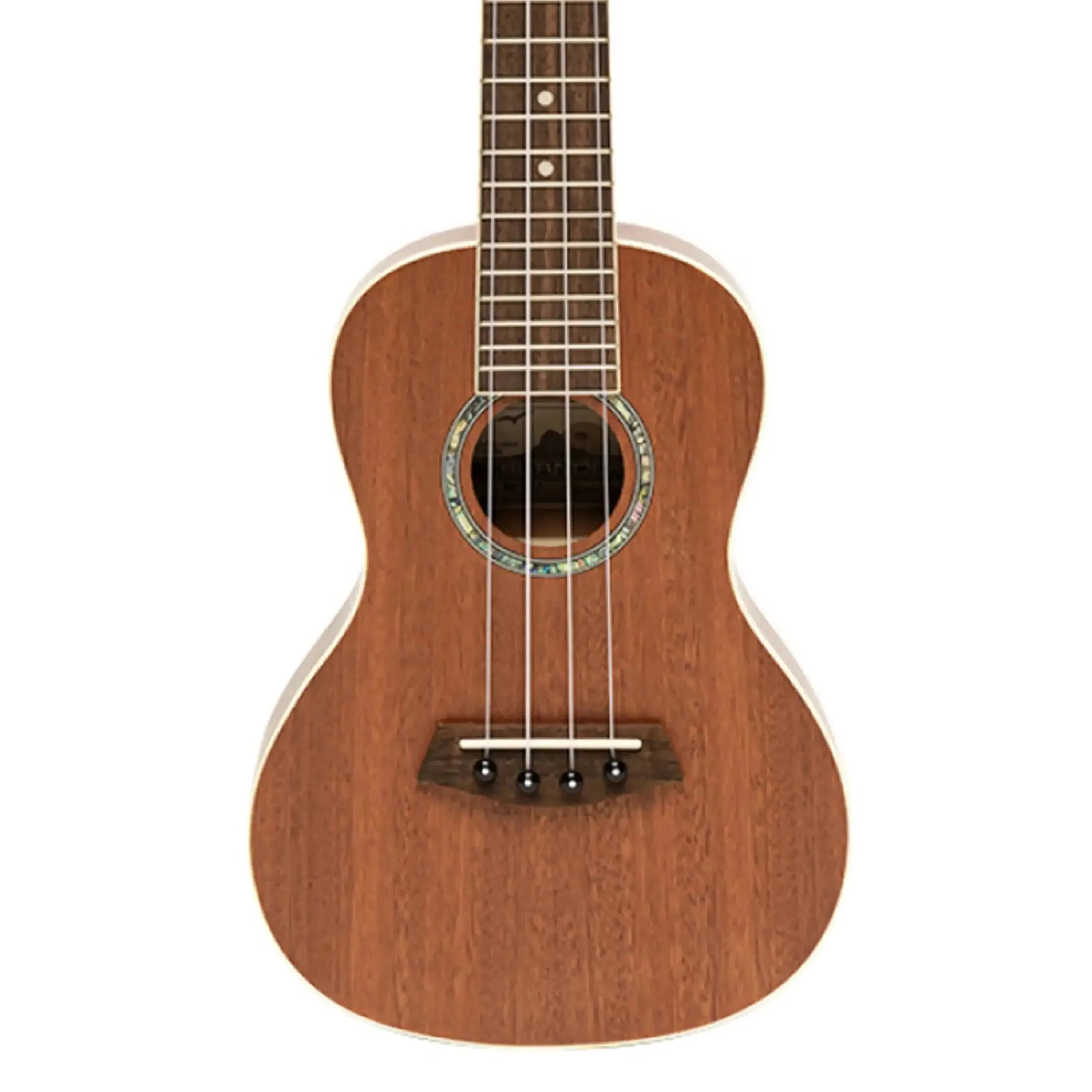 Islander PAT-BOX "Plant a Tree" Mahogany Concert Ukulele - Image 2