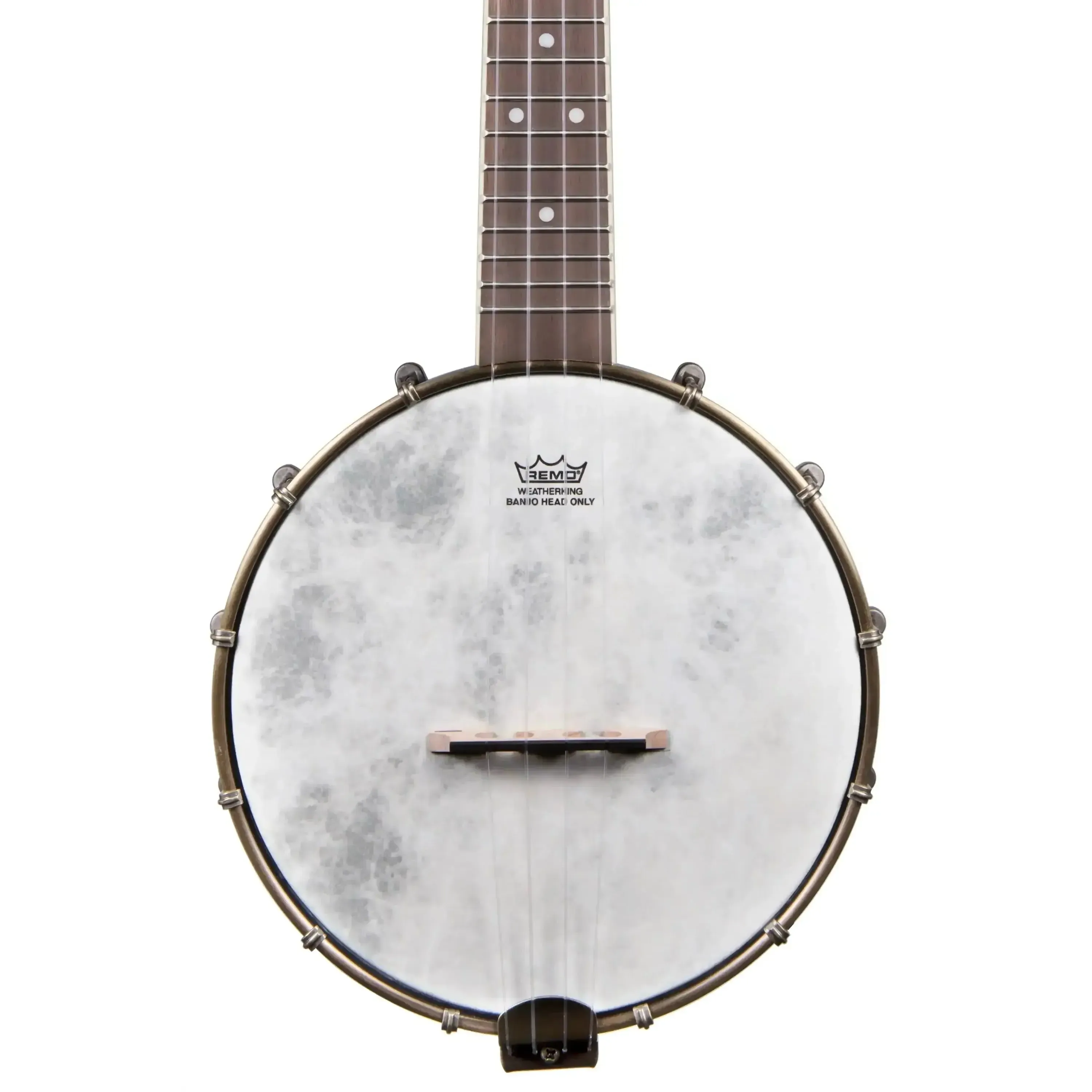 Kala BNJ-C 5-Ply Black Maple Concert Banjolele