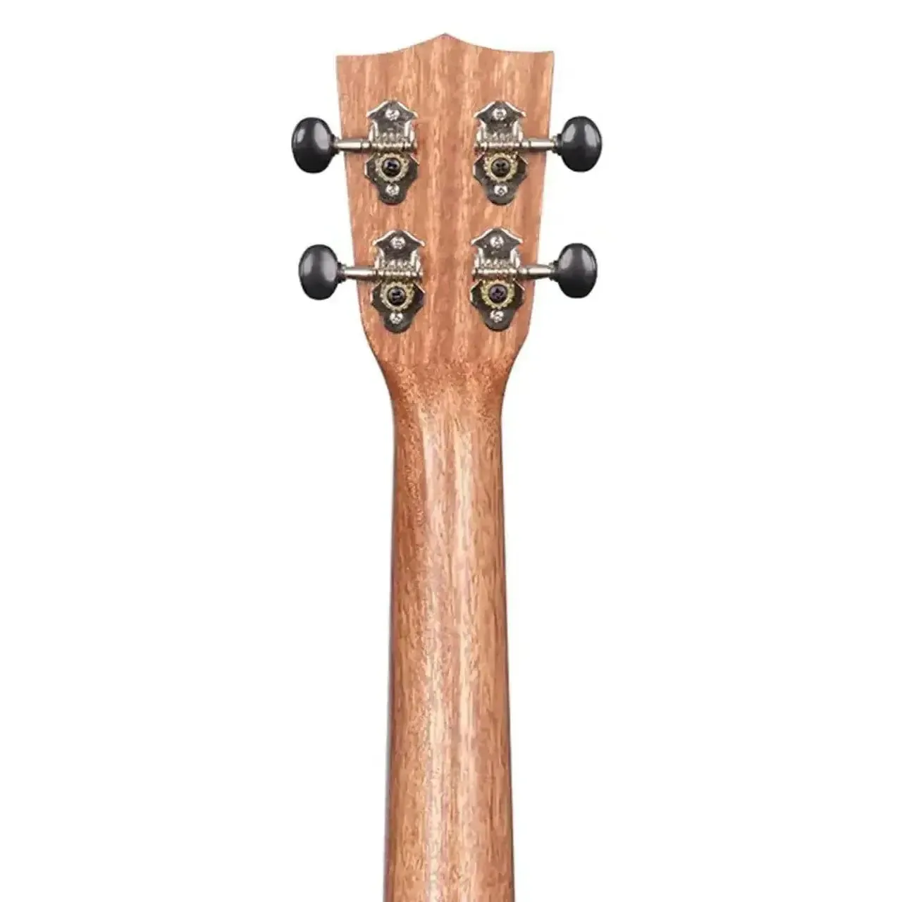 Kala TEAK-C Teak Concert Ukulele - Image 5