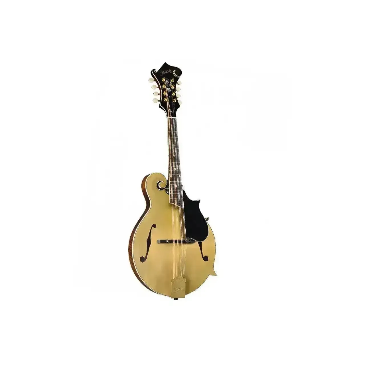 Kentucky KM-858 Gold Top Artist F-Model Mandolin - Image 3