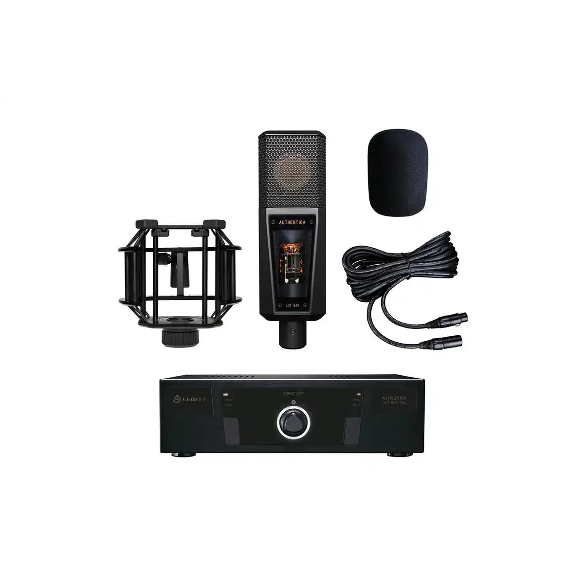 Lewitt Audio LCT-840 Multi-Pattern Tube Microphone - Image 4