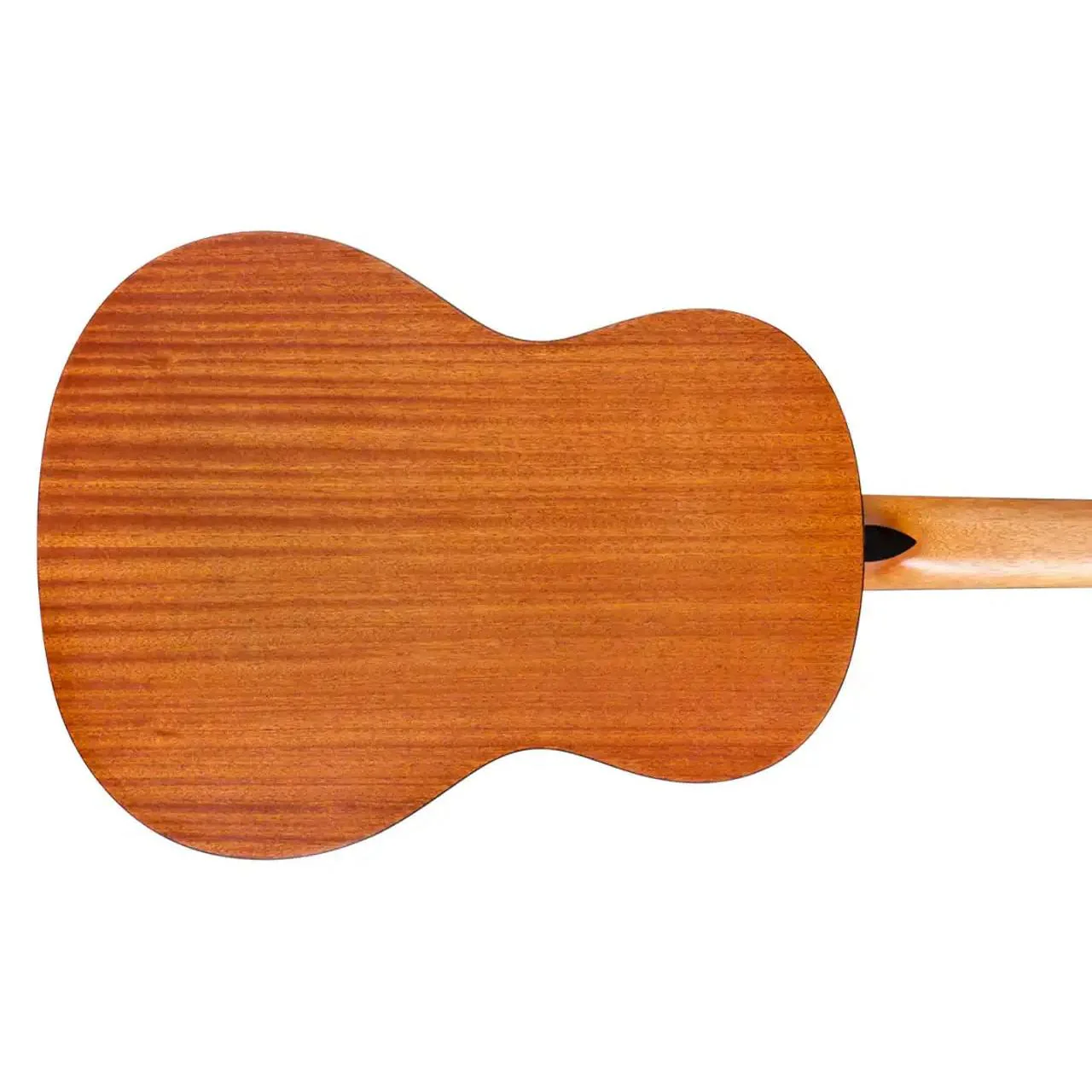 Protégé by Cordoba C1M Spruce Top Classical Nylon Guitar - Open Box - Image 2