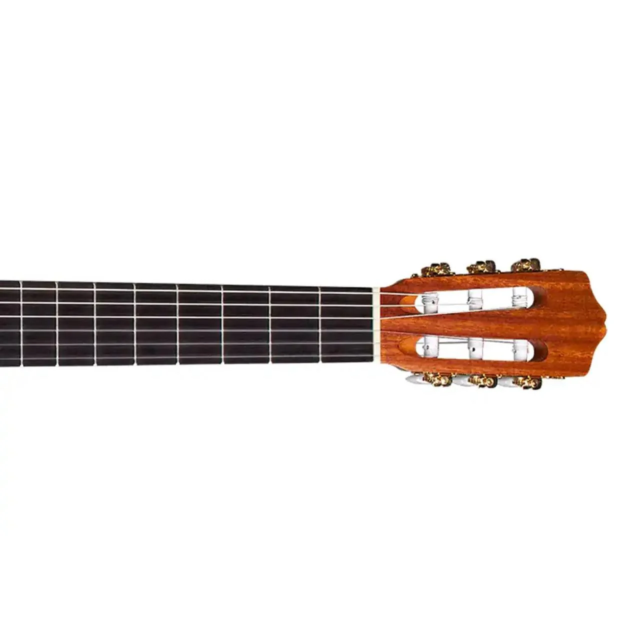 Protégé by Cordoba C1M Spruce Top Classical Nylon Guitar - Open Box - Image 4