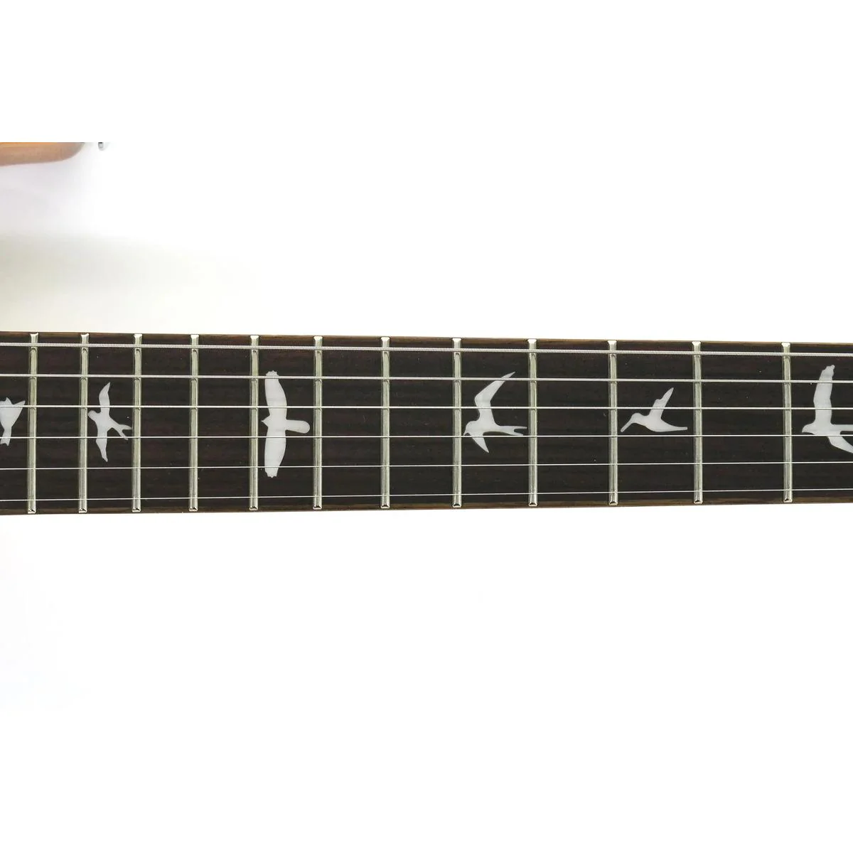 PRS SE Custom 24 Electric Guitar - Faded Blue Burst - Image 6