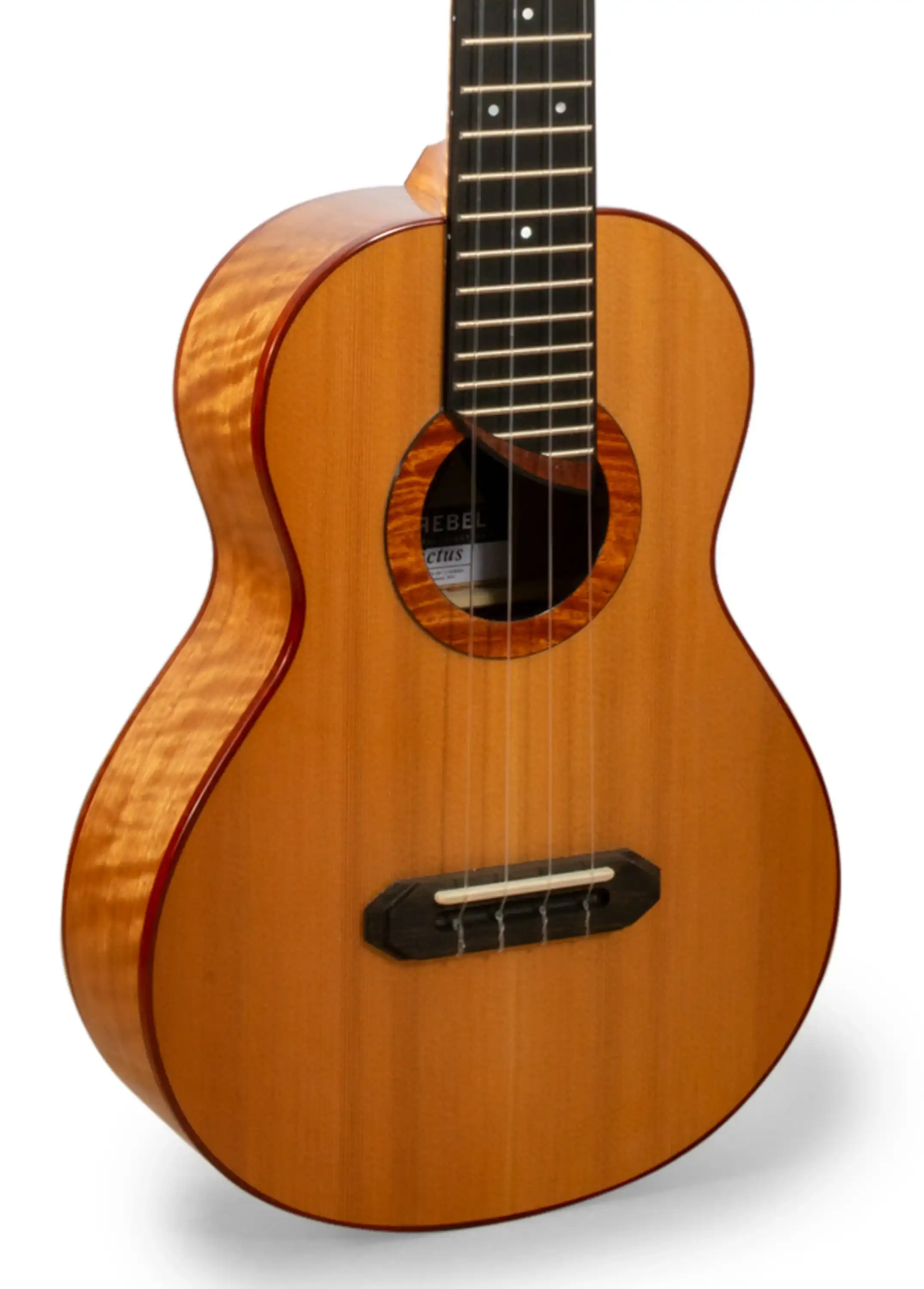 Rebel Double Invictus Tenor Ukulele "Pippen" Gloss Finish