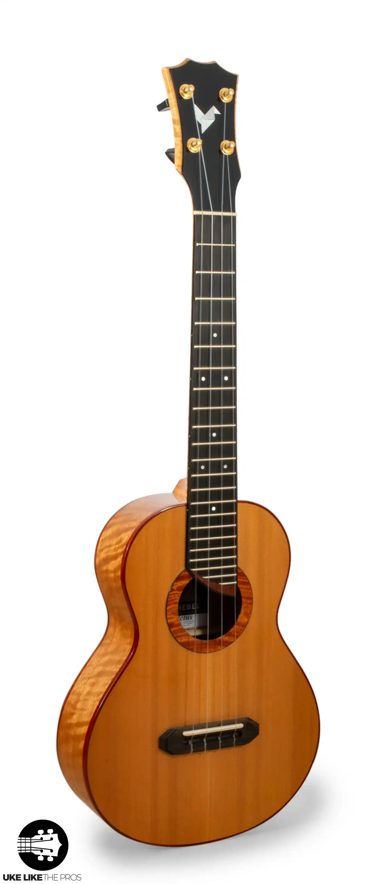 Rebel Double Invictus Tenor Ukulele "Pippen" Gloss Finish - Image 3