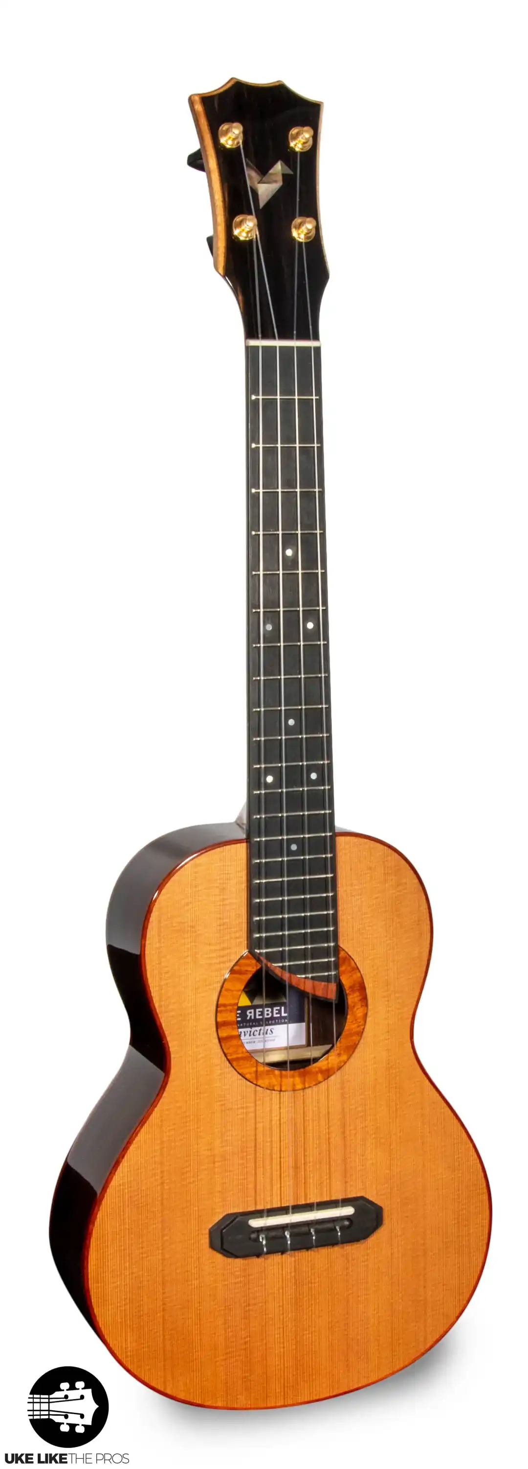Rebel Double Invictus Tenor Ukulele Solid Cedar Top Rosewood "Finnigan" - Image 3
