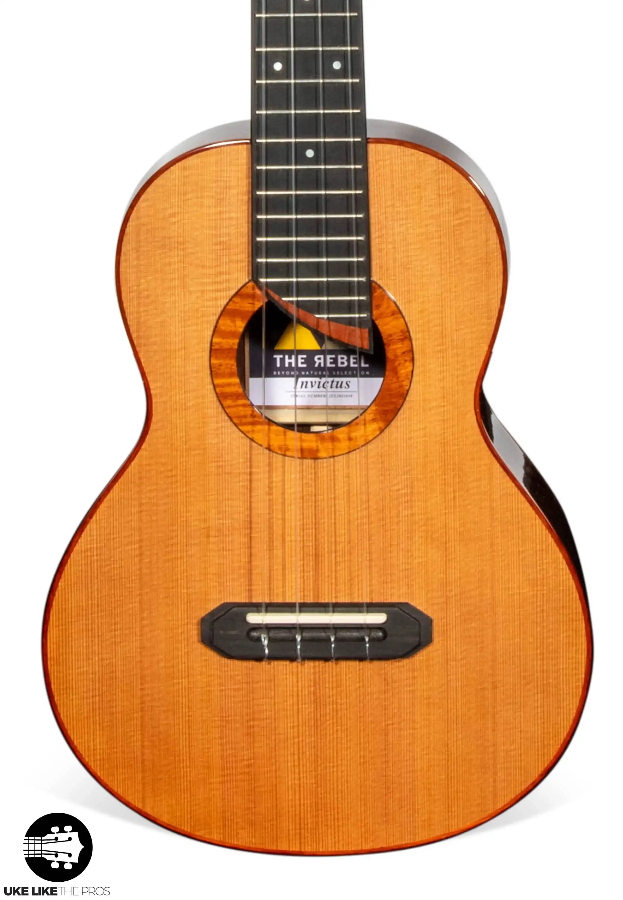 Rebel Double Invictus Tenor Ukulele Solid Cedar Top Rosewood "Finnigan" - Image 5