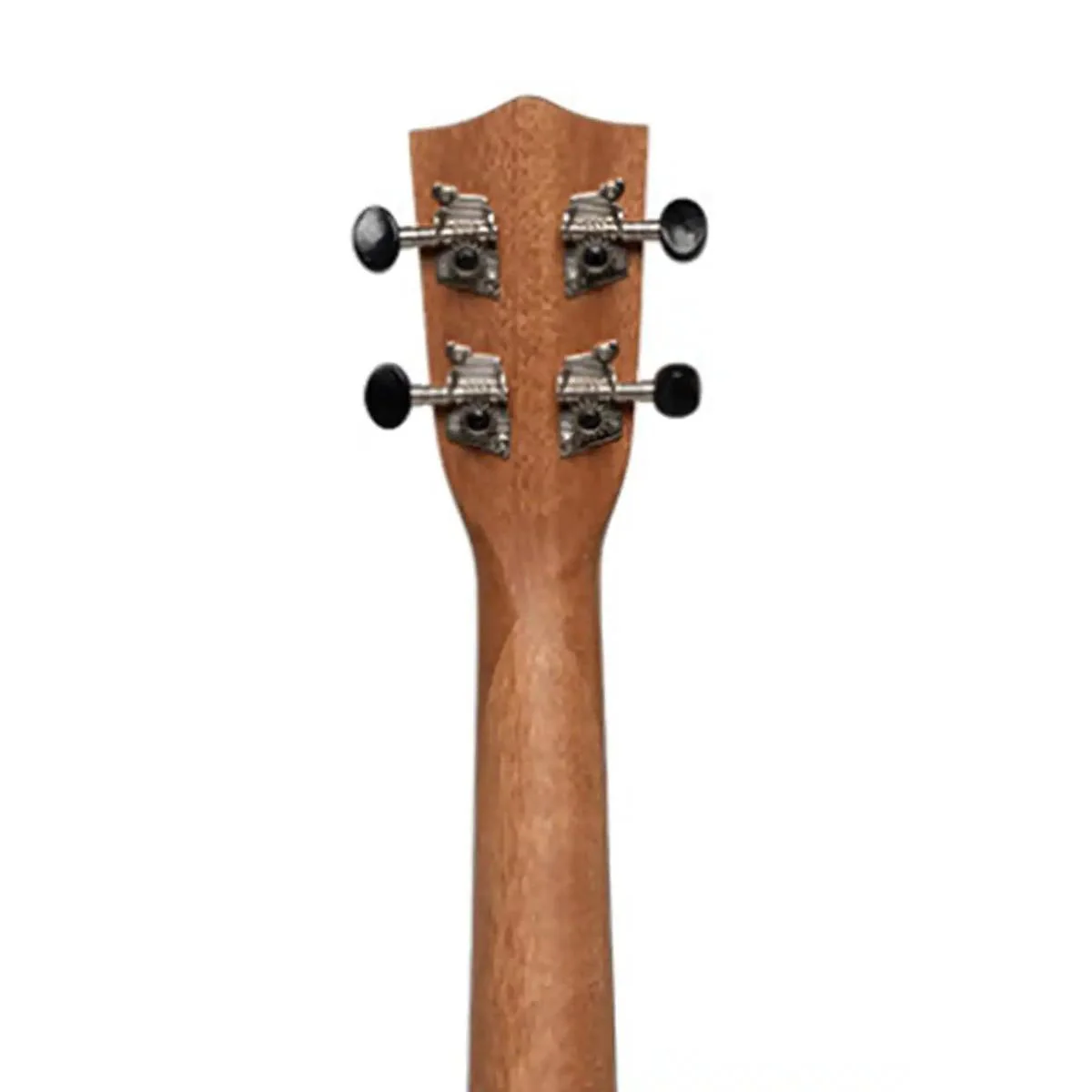 Stagg UC-30-E Sapele Acoustic-Electric Concert Ukulele w/ EQ - Image 8