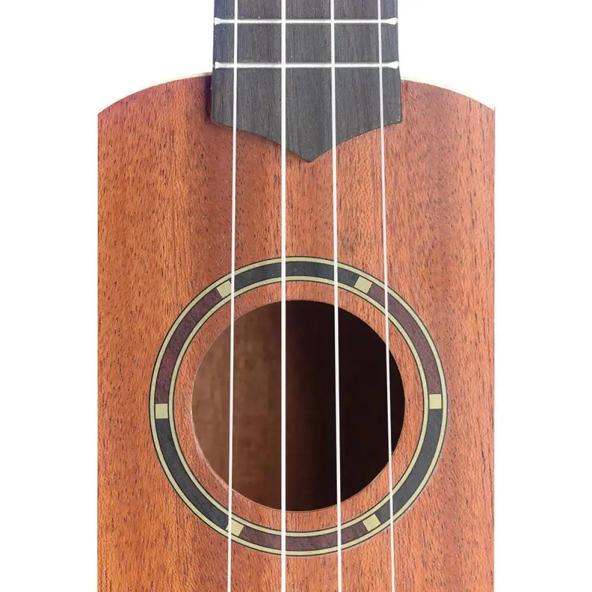 Stagg UC-30 Sapele Concert Ukulele - Image 5