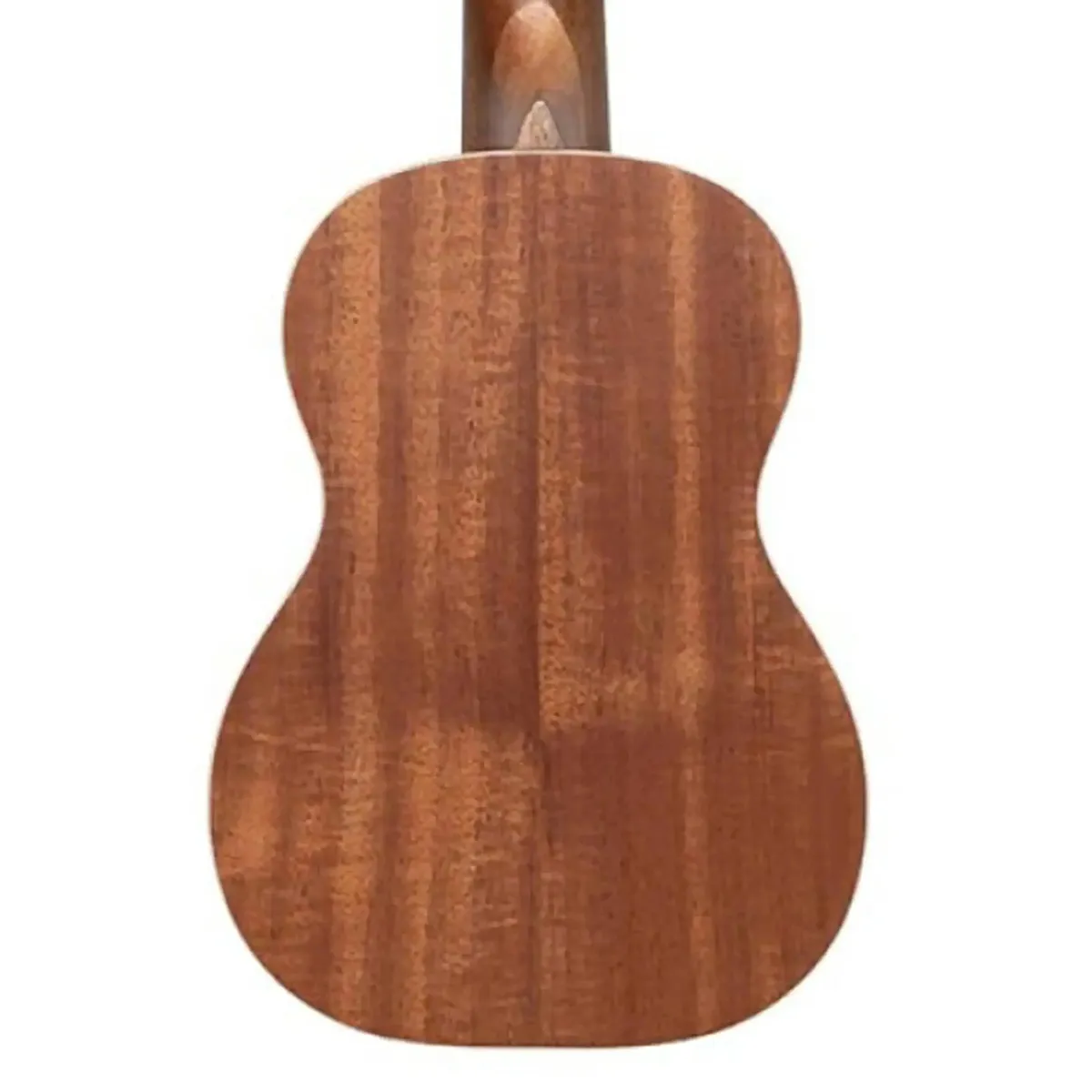 Stagg UC-30 Spruce & Sapele Concert Ukulele - Image 2