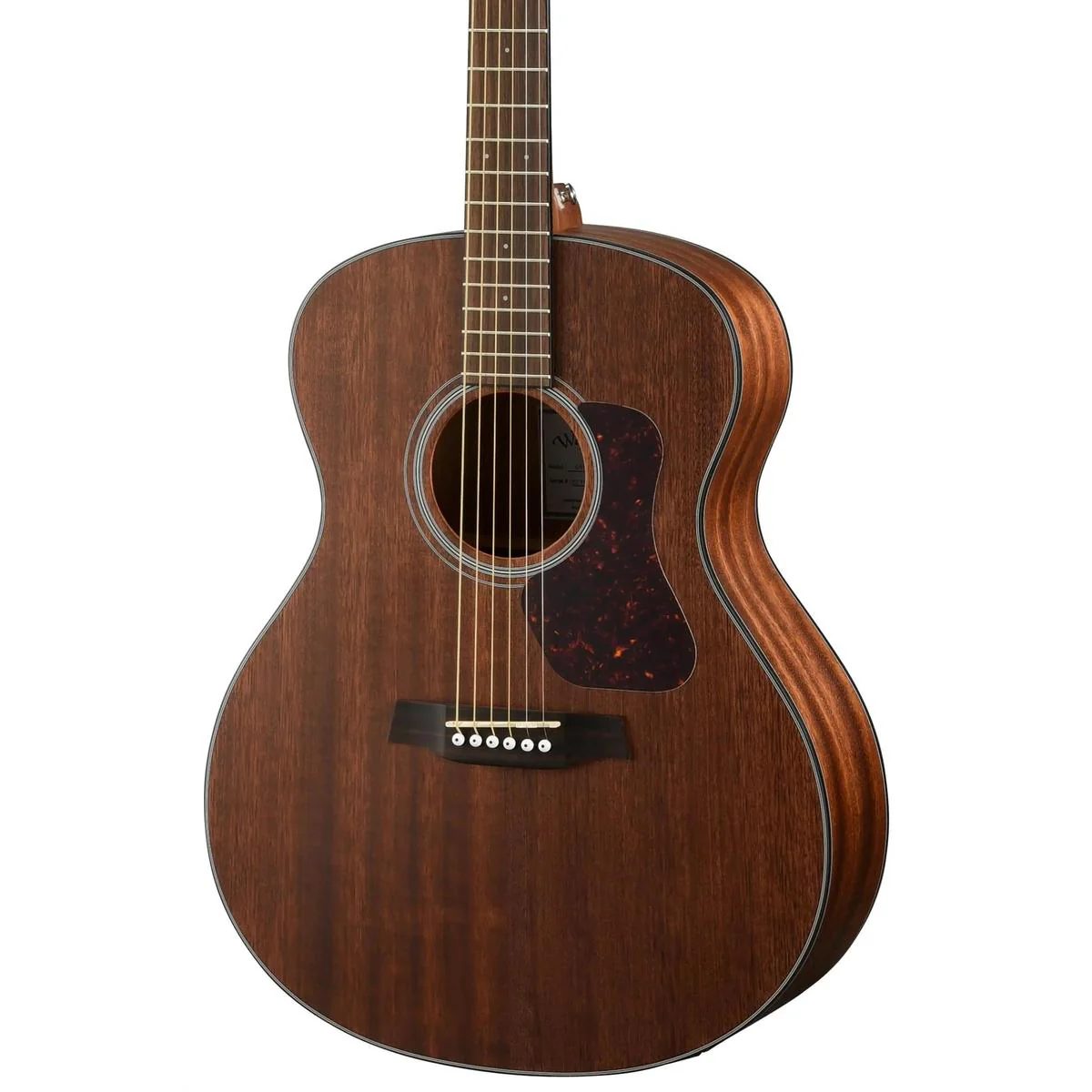 Walden Guitars G551E The Natura Grand Auditorium Acoustic Electric Guitar