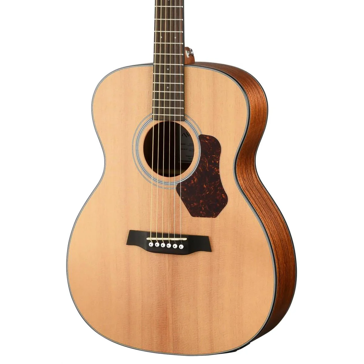 Walden Guitars O550E The Natura Orchestra Acoustic Electric Guitar