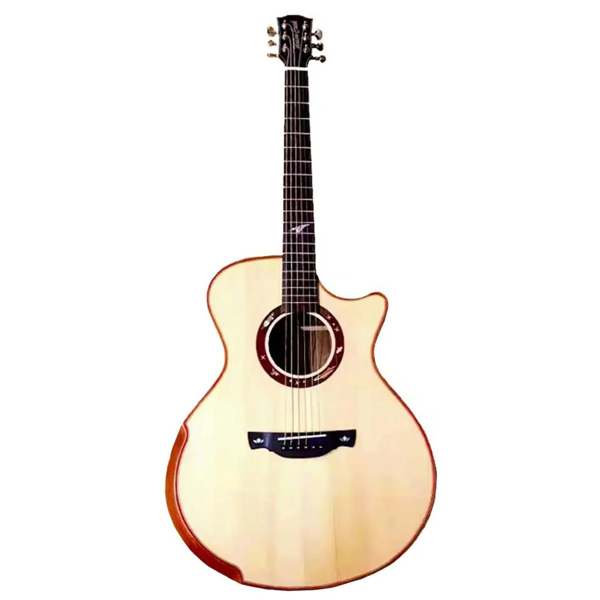 Willow Creek FX-PG9Z Ziricote Pro Acoustic Grand Auditorium Guitar w/ FXE & Bluetooth - Image 3