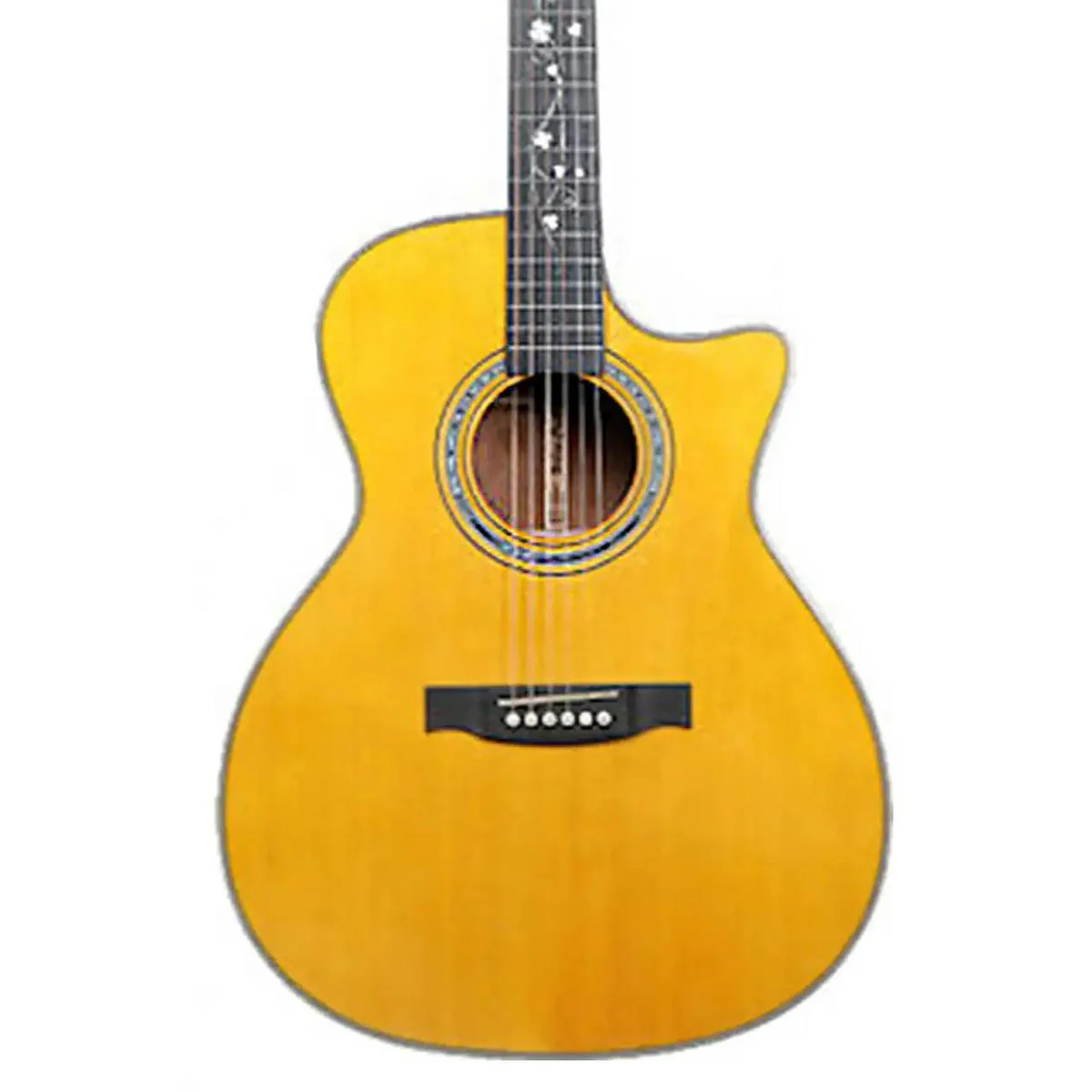 Willow Creek FX-PGE4F Herringbone Pro Acoustic Grand Auditorium Guitar w/ Effects & Bluetooth